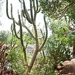 Nepole Vakantiehuis Torre Vado