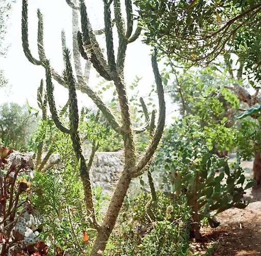 Nepole בית נופש טורה ואדו